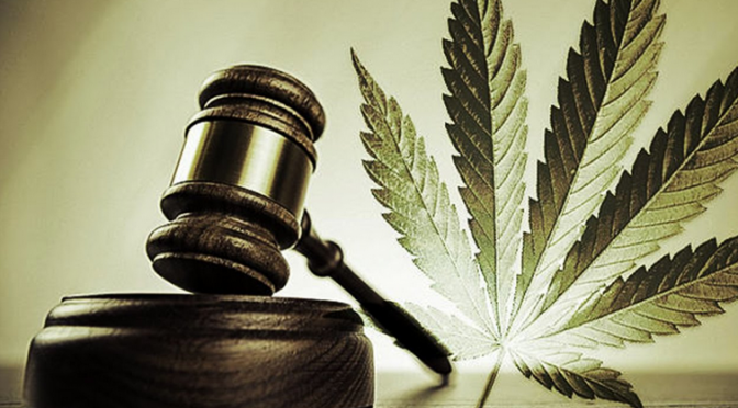 Wedge Gardens slams dagga ruling